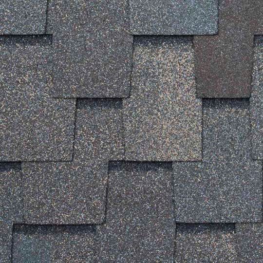 Paramount® Signature Cut Shingles with Algae Defender® Protection