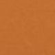 Select the color
