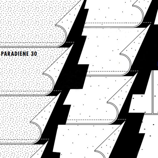 Paradiene 30 Finish Ply - 1 SQ. Roll