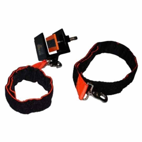 Ladder Stability Anchor
