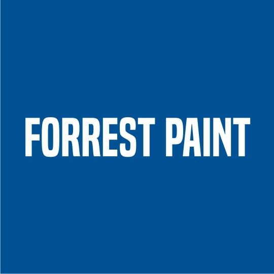 Spray Paint - 12 Oz.