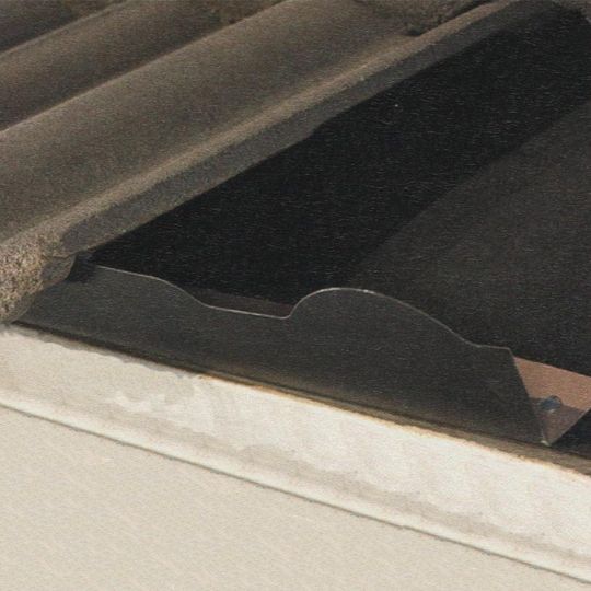 10' Capistrano Non-Vented Bird Stop