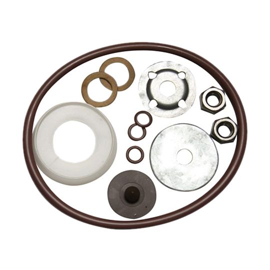 Seal & Gasket Kit with Viton