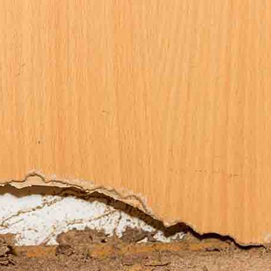 InCide&copy; Pest Control Cellulose Insulation