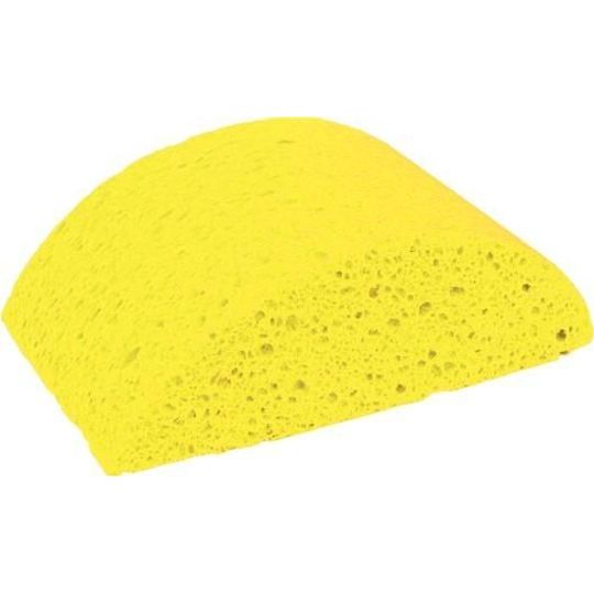 Turtleback Sponge