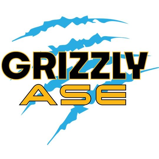 Hand Swing Hoist 300 lbs